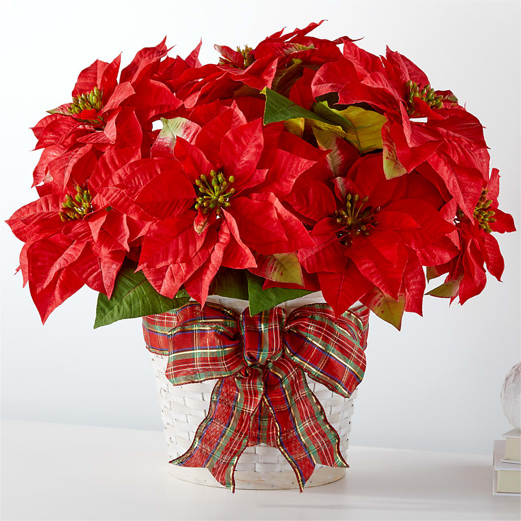 Happiest Holidays Poinsettia – Gibsonia Flowers, Lakeland FL