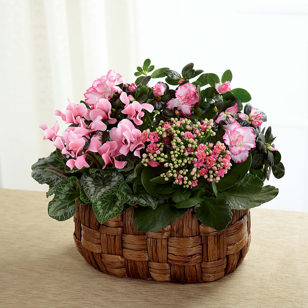Pink Assortment – Gibsonia Flowers, Lakeland FL