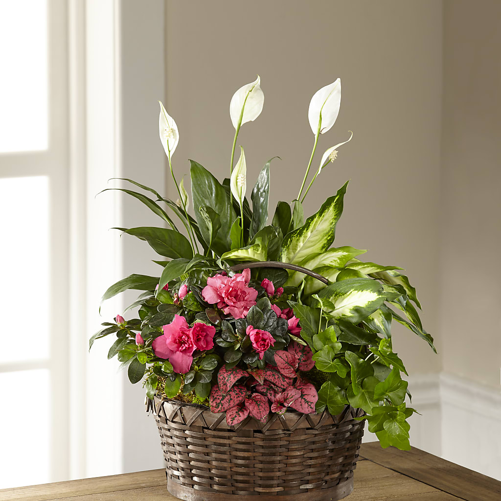 Dream in Pink Dishgarden – Gibsonia Flowers, Lakeland FL