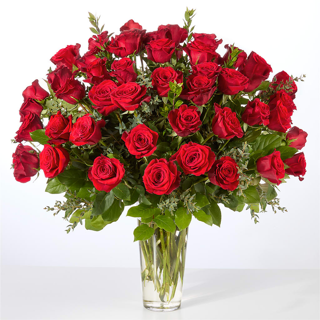 Forever Yours Fifty Stem Red Rose Bouquet – Gibsonia Flowers, Lakeland FL