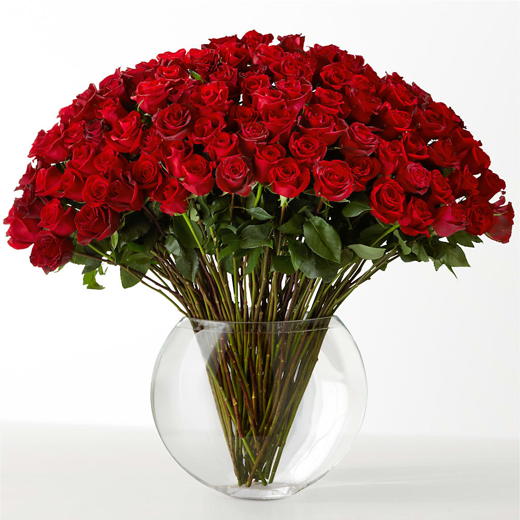 The Idealist – Gibsonia Flowers, Lakeland FL