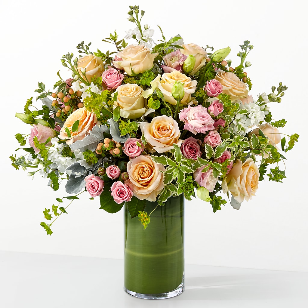 The Glamour Shot – Gibsonia Flowers, Lakeland FL