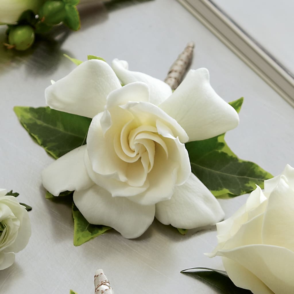 Gardenia Boutonniere – Gibsonia Flowers, Lakeland FL
