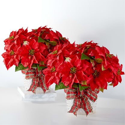 Happiest Holidays Poinsettia Bundle –  Gibsonia Flowers, Lakeland FL