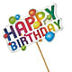 Happy Birthday Pick –  Gibsonia Flowers, Lakeland FL