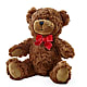 Adorable Plush Bear –  Gibsonia Flowers, Lakeland FL