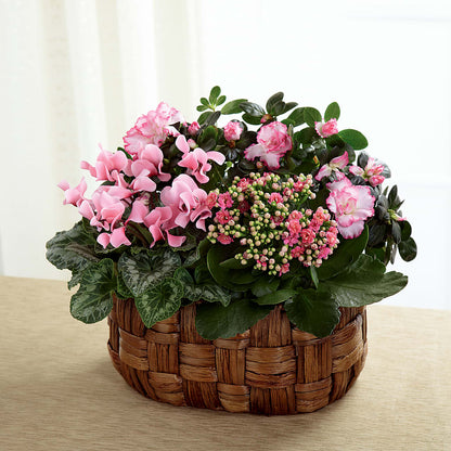 Pink Assortment –  Gibsonia Flowers, Lakeland FL