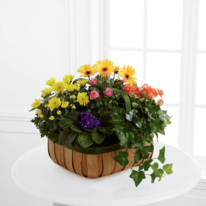 Gentle Blossoms Basket –  Gibsonia Flowers, Lakeland FL