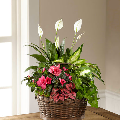 Dream in Pink Dishgarden –  Gibsonia Flowers, Lakeland FL