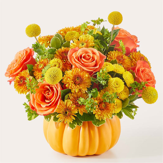 Gourdgeous Pumpkin –  Gibsonia Flowers, Lakeland FL