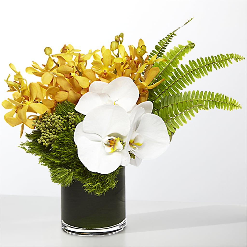 The Tropics –  Gibsonia Flowers, Lakeland FL