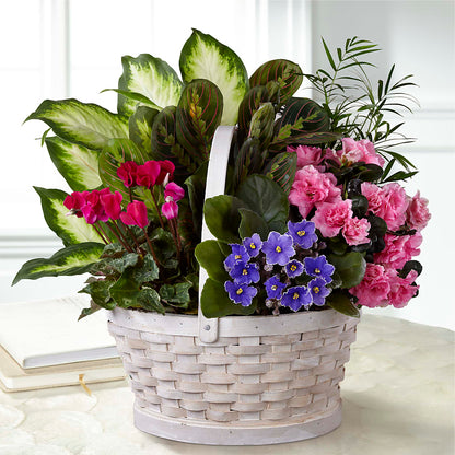 Peaceful Garden Planter –  Gibsonia Flowers, Lakeland FL