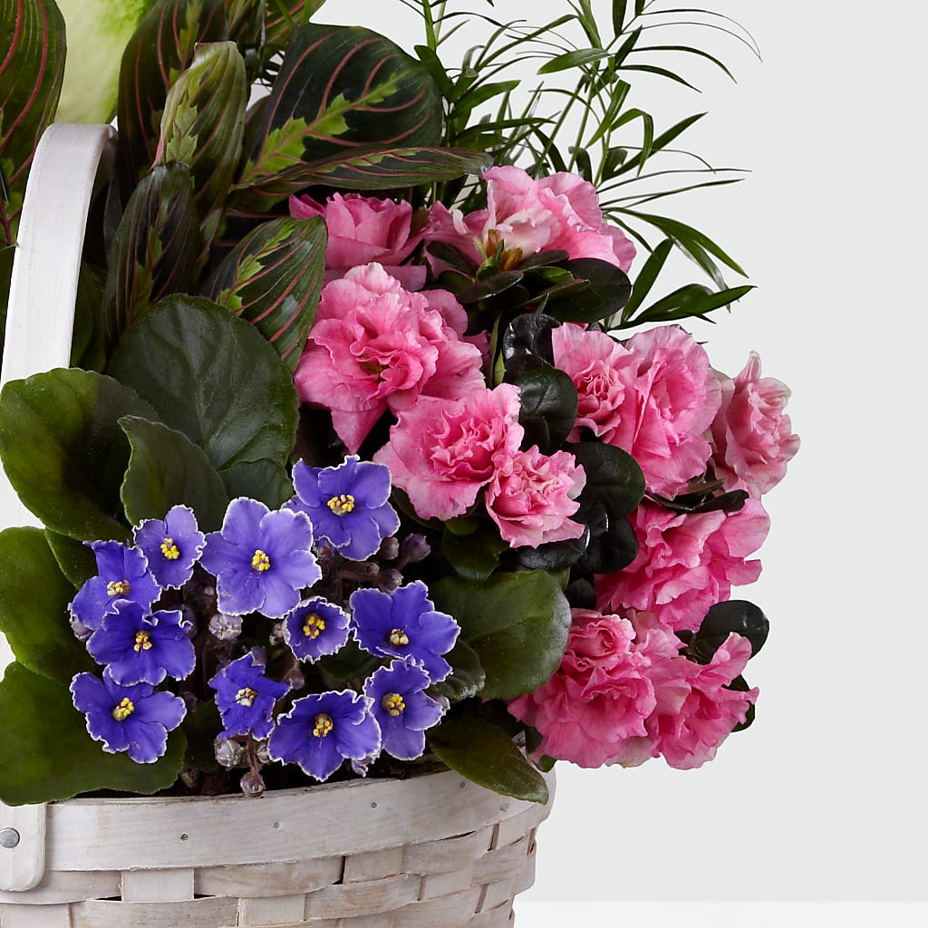 Peaceful Garden Planter –  Gibsonia Flowers, Lakeland FL