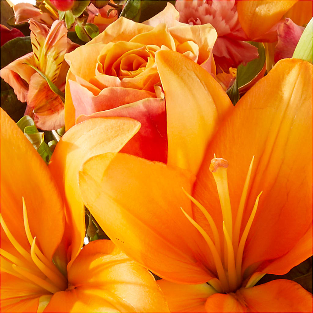 Afternoon Light Bouquet –  Gibsonia Flowers, Lakeland FL