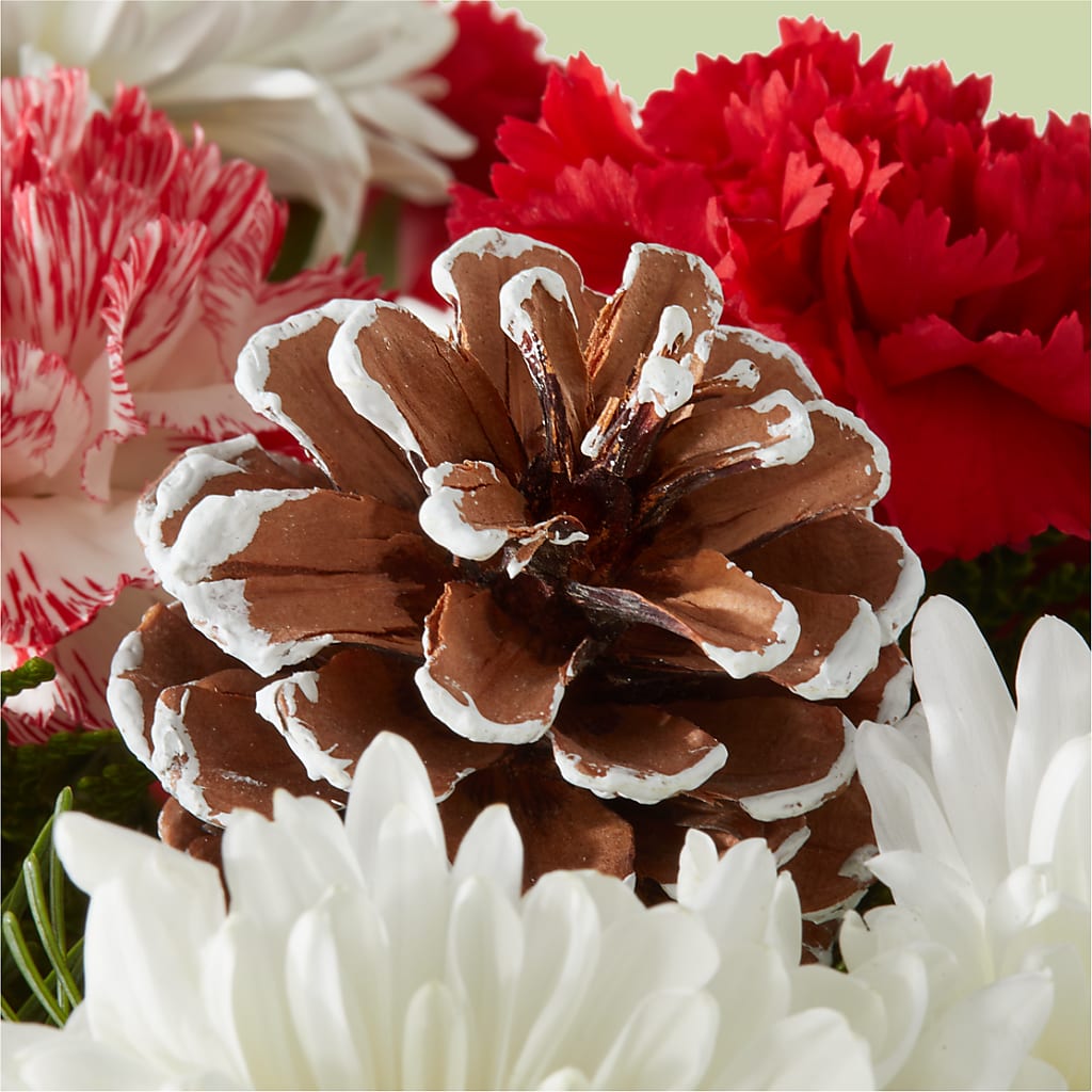 Candy Cane Lane Bouquet –  Gibsonia Flowers, Lakeland FL
