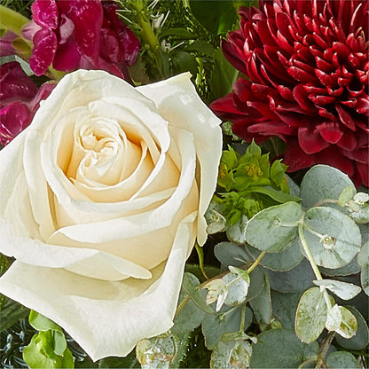 Cranberry Fizz Bouquet –  Gibsonia Flowers, Lakeland FL