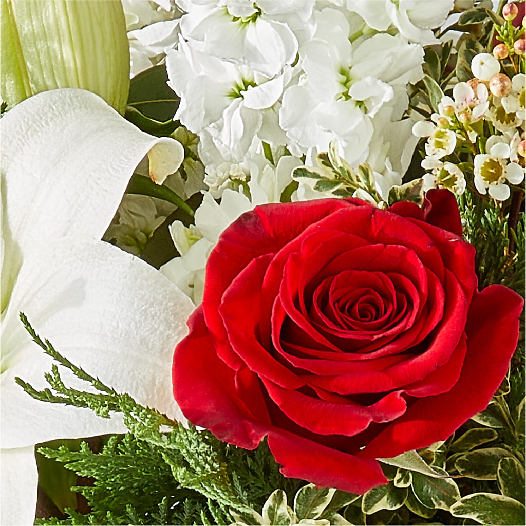 Twinkle Lights Bouquet –  Gibsonia Flowers, Lakeland FL