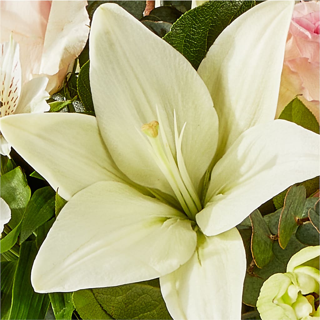 Ballet Slippers Bouquet –  Gibsonia Flowers, Lakeland FL