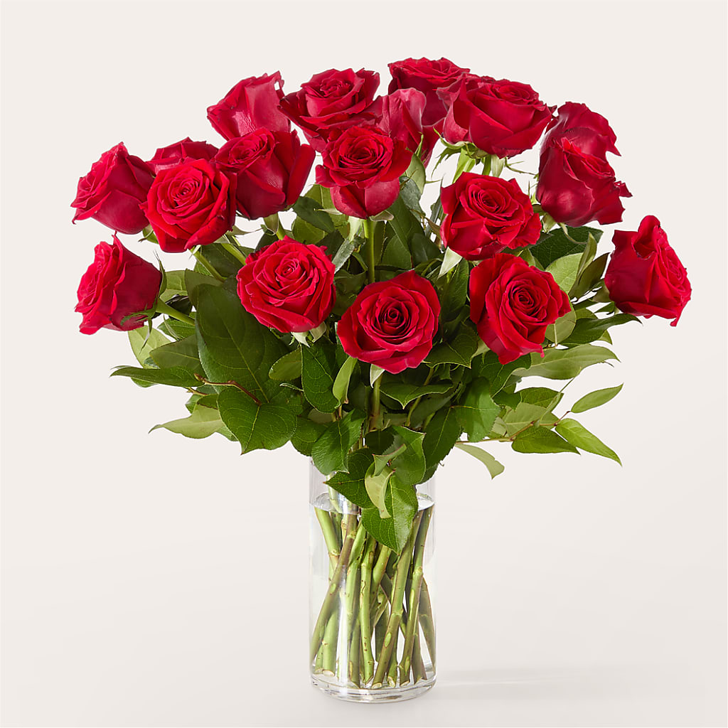 The One Red Rose Bouquet –  Gibsonia Flowers, Lakeland FL