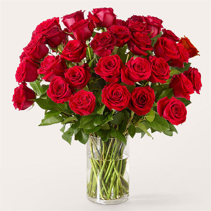 The One Red Rose Bouquet –  Gibsonia Flowers, Lakeland FL