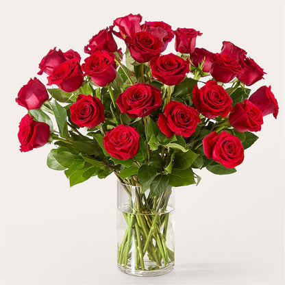 The One Red Rose Bouquet –  Gibsonia Flowers, Lakeland FL