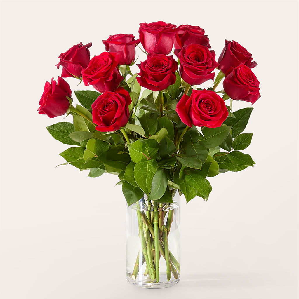 The One Red Rose Bouquet –  Gibsonia Flowers, Lakeland FL