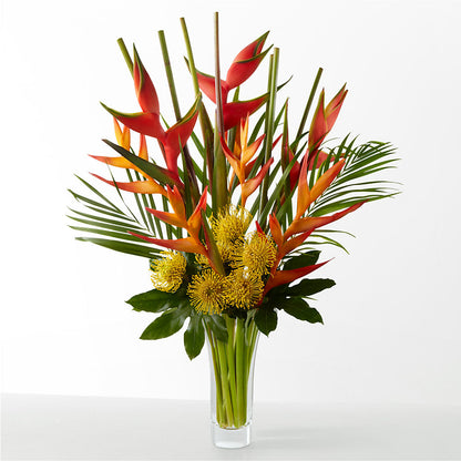The Drama –  Gibsonia Flowers, Lakeland FL