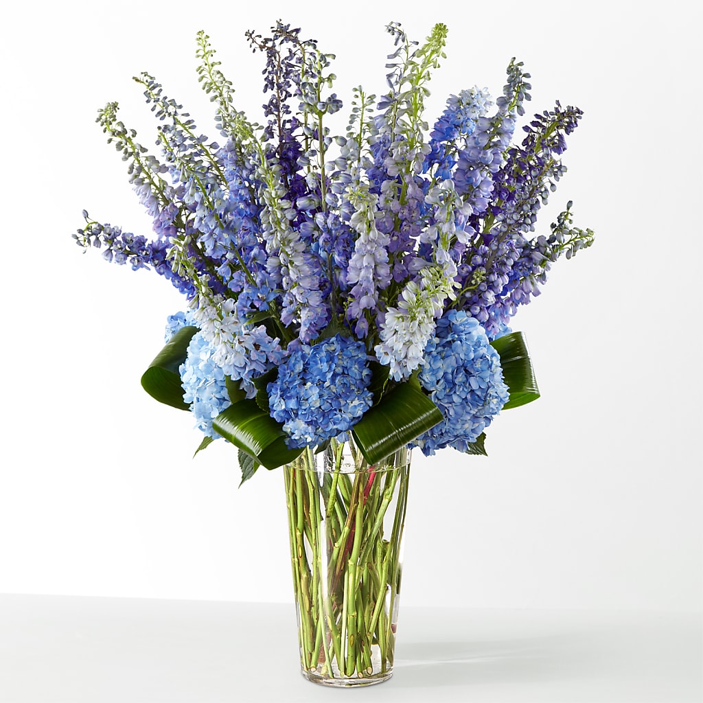 The Editorial –  Gibsonia Flowers, Lakeland FL
